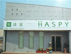 ���̎�HASPY�i�n�X�s�[�j
